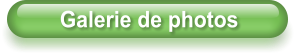 Galerie de photos