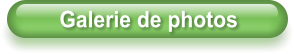 Galerie de photos
