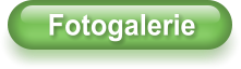 Fotogalerie