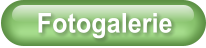 Fotogalerie